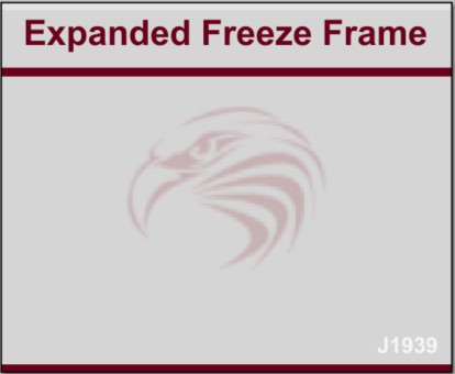 Raptor:J1939 Expanded Freeze Frame