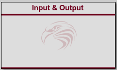 Raptor:Input & Output