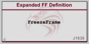 Expanded Freeze Frame Definition block