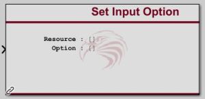 Set Input Option block